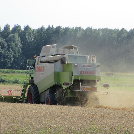 B&B Boerderij Wijtvliet Langeweg Exterior foto